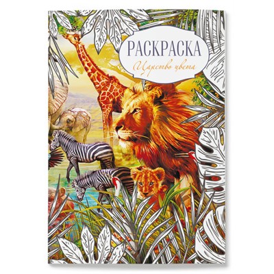 Раскраска Царство цвета
