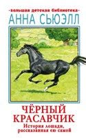 Чёрный красавчик (твердый)