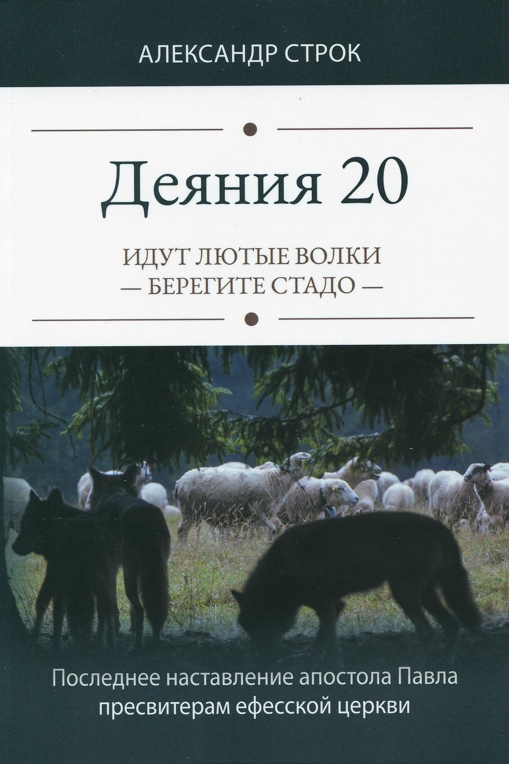 Деяния 20. Идут лютые волки – берегите стадо