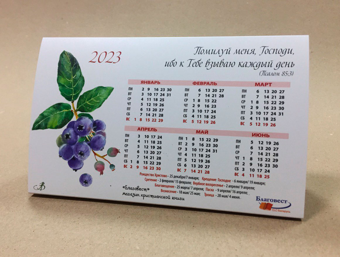 Календарь домик на 2023 год "Голубика"