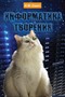 Информатика творения